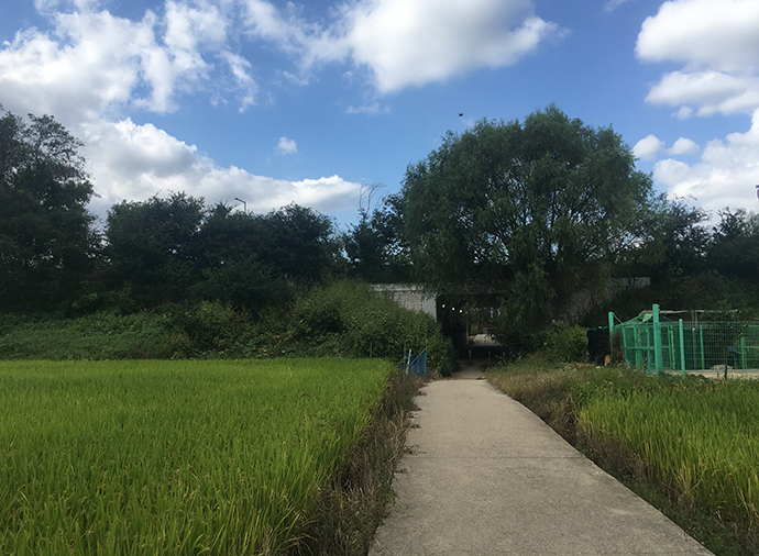 경인아라뱃길_풍경10