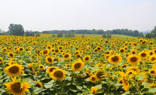 주말에 잠깐 떠나는 가을 여행 추천해 드립니다.