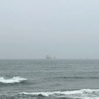 6월 낙지 금어기 정확한 시작일과 끝나는 날 지역별 상세 기준 정리_15