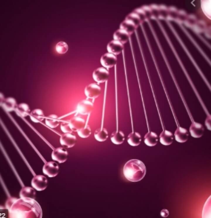 콜라겐