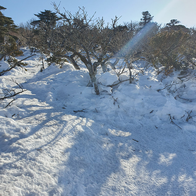 제주도-여행-일정