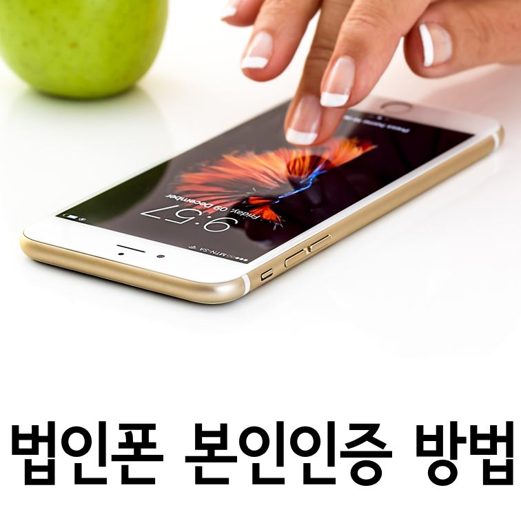법인폰 개인인증 대표이미지