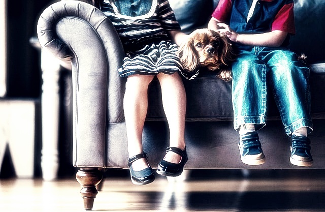 세이펜 음원 다운로드