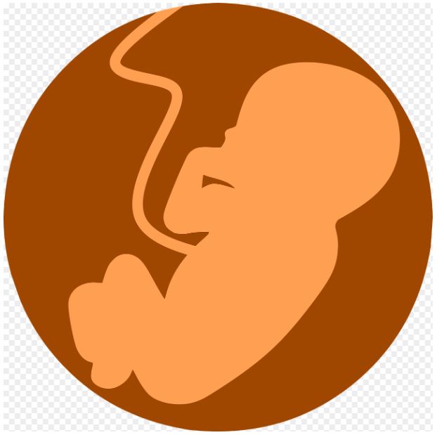 출산크레딧,경제,국민연금