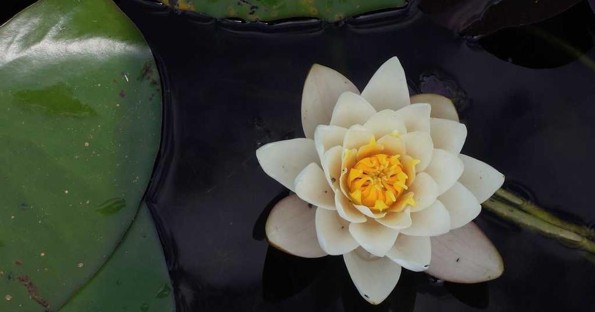 healthy meal prep containers with fresh colorful ingredients on a kitchen counter