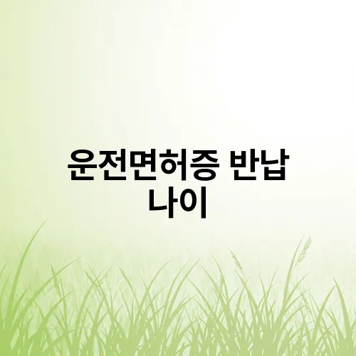 운전면허증 반납 나이