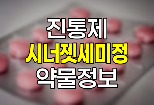 시너젯세미정 효능, 효과, 부작용 상세 정보