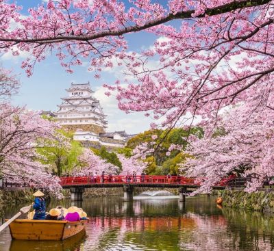 일본벚꽃여행(사진 : Pinterest)