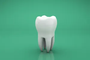 어금니-임플란트-가격