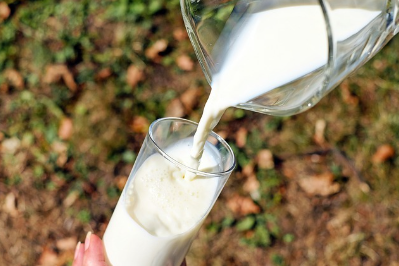 귀리 우유(Oat Milk)