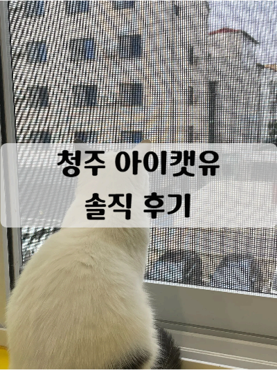아이캣유