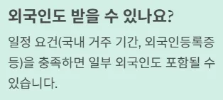 전국민 민생지원금 25만원 질문2