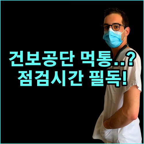 국민건강보험공단 시스템 점검 시간 및..