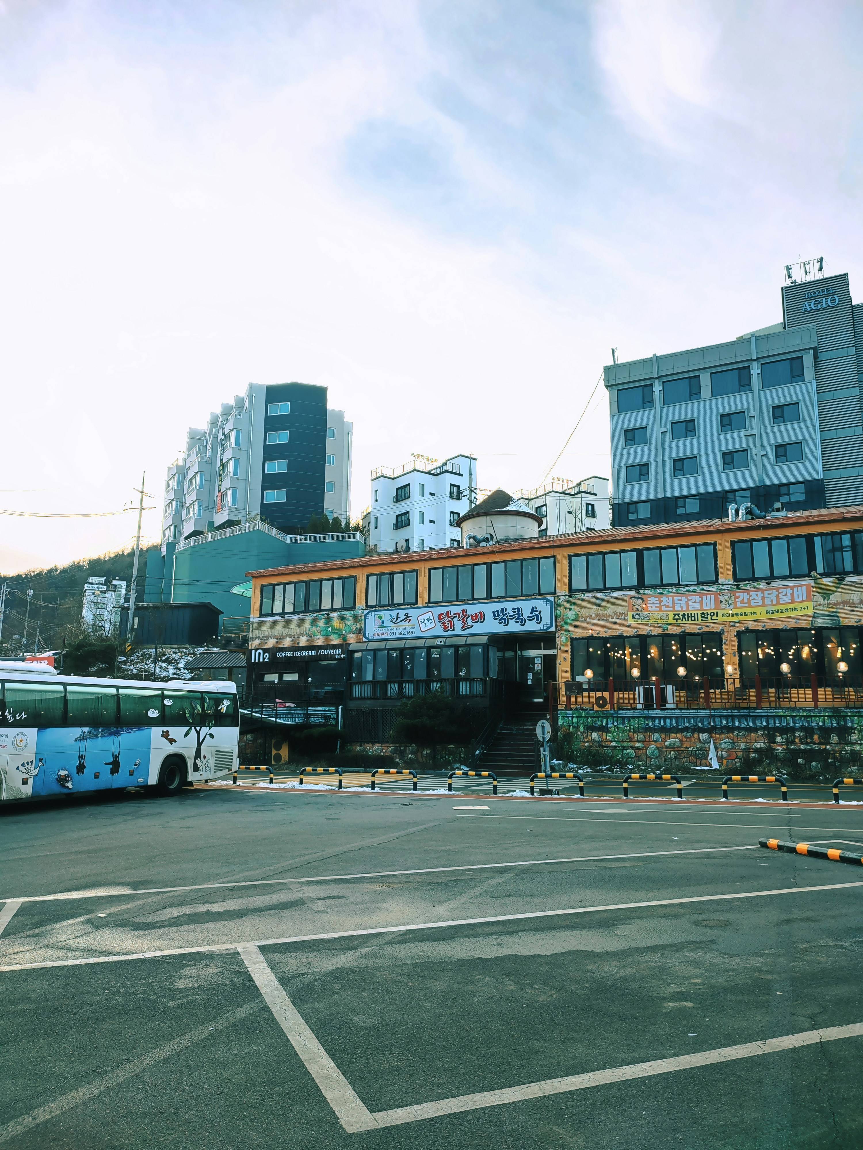대중교통
