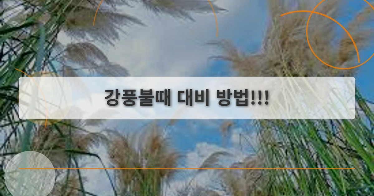 강풍대비_thumbnail