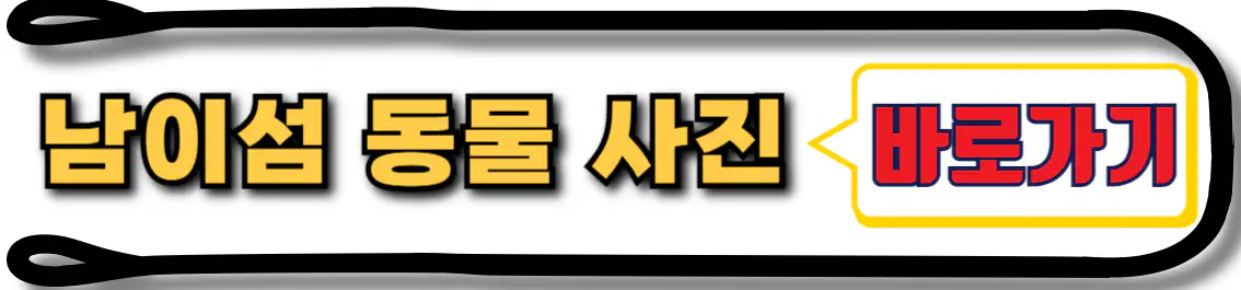 남이섬 동물 사진 보기