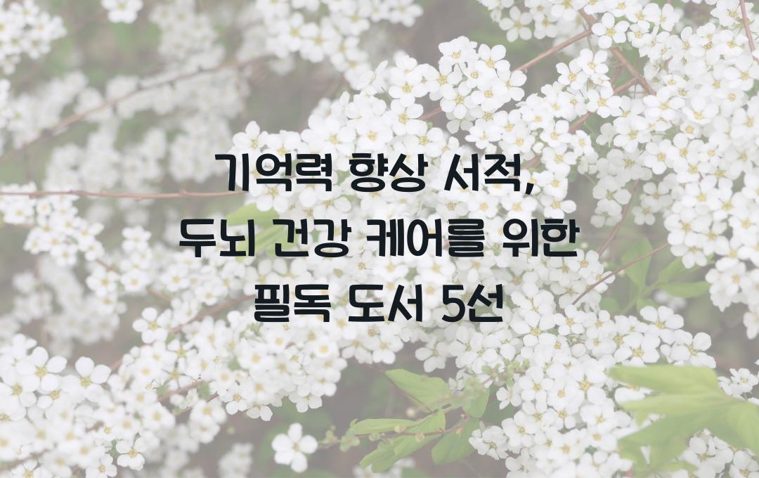 기억력 향상 서적: 두뇌 건강에 도움되는 추천 도서