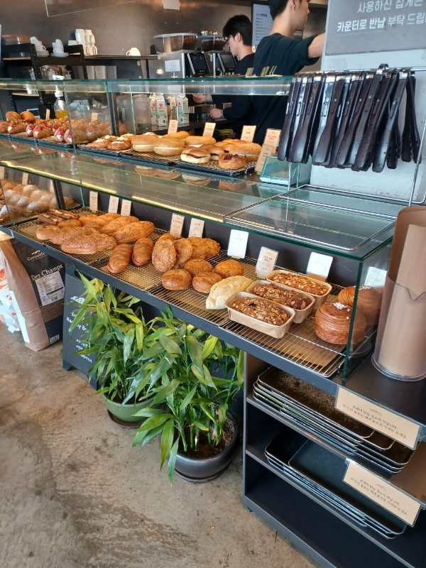 베이커리