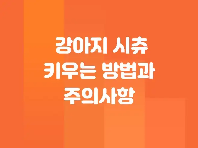 시츄 강아지 키우는 방법과 주의사항, 직접 경험으로 알려드려요 (영양제 싸게 사는 방법 공개)
