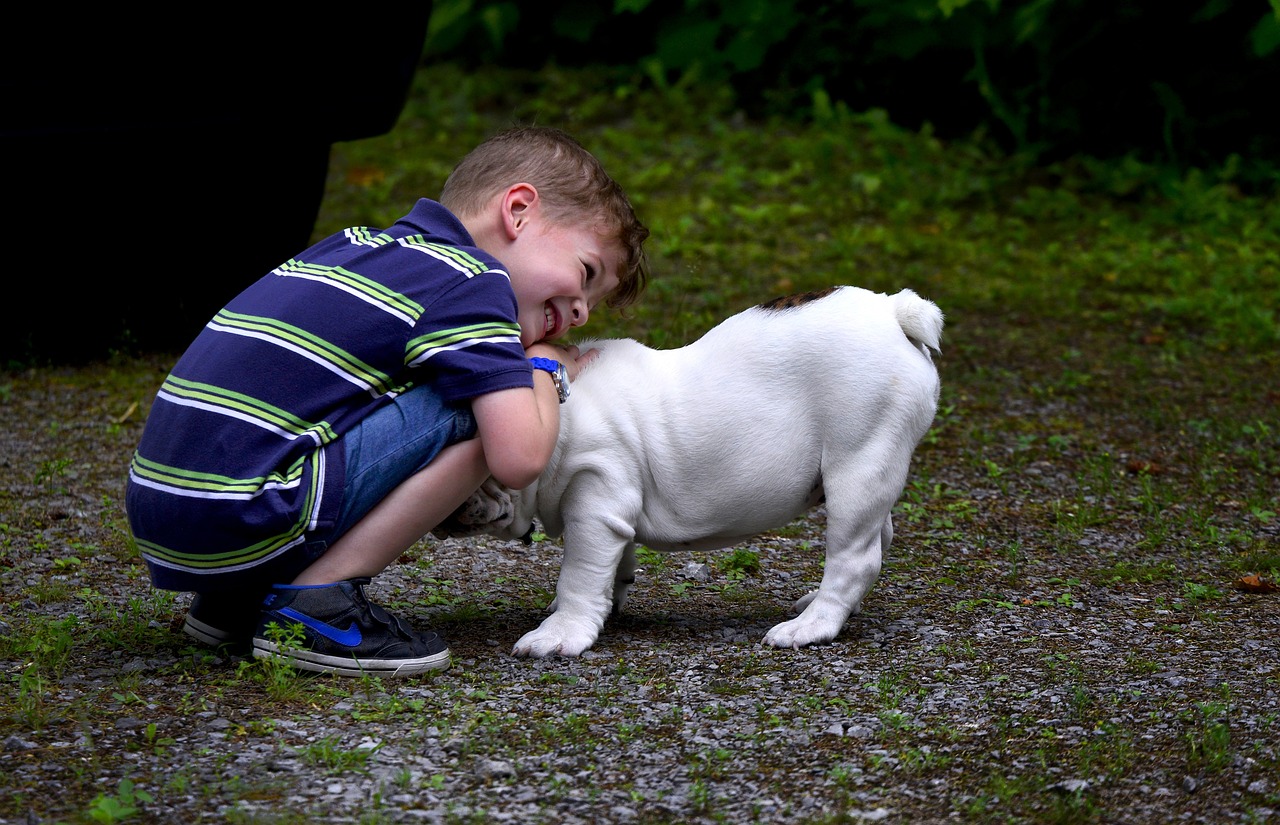 A smiling boy who is hugging a dog