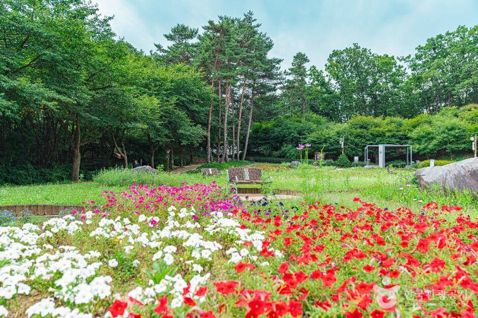 의정부 가볼만한곳 베스트 10