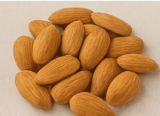 전립선에 좋은 음식