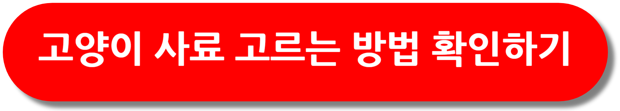 고양이-사료-고르는-방법