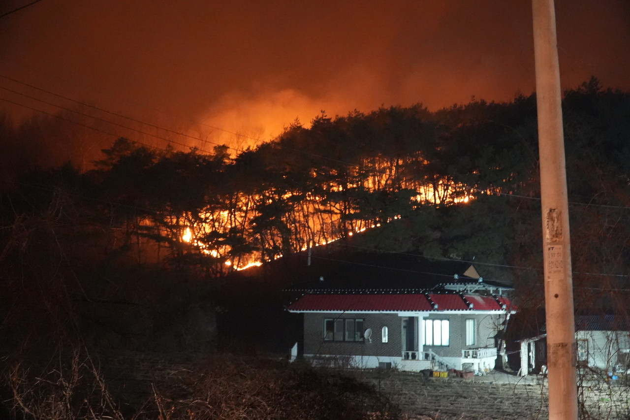 대형 산불 피해
