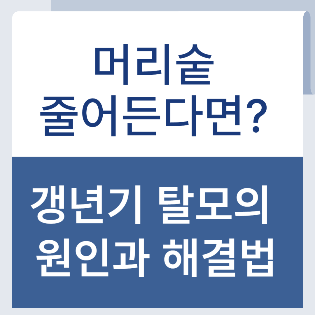 갱년기 탈모 원인과 해결법