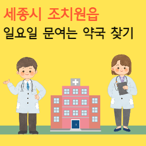 세종시 조치원읍 일요일 문여는 약국 찾기