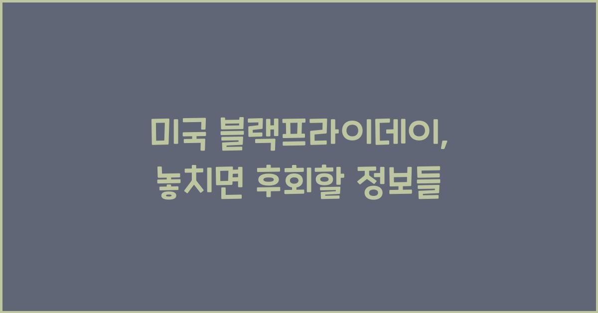 미국 블랙프라이데이