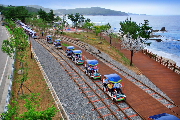 삼척 레일바이크