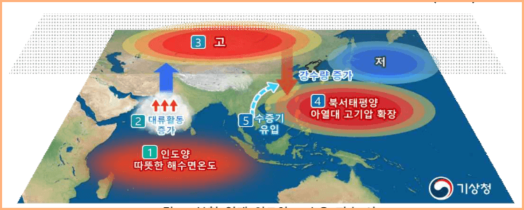 6월 ~8월 강수량
