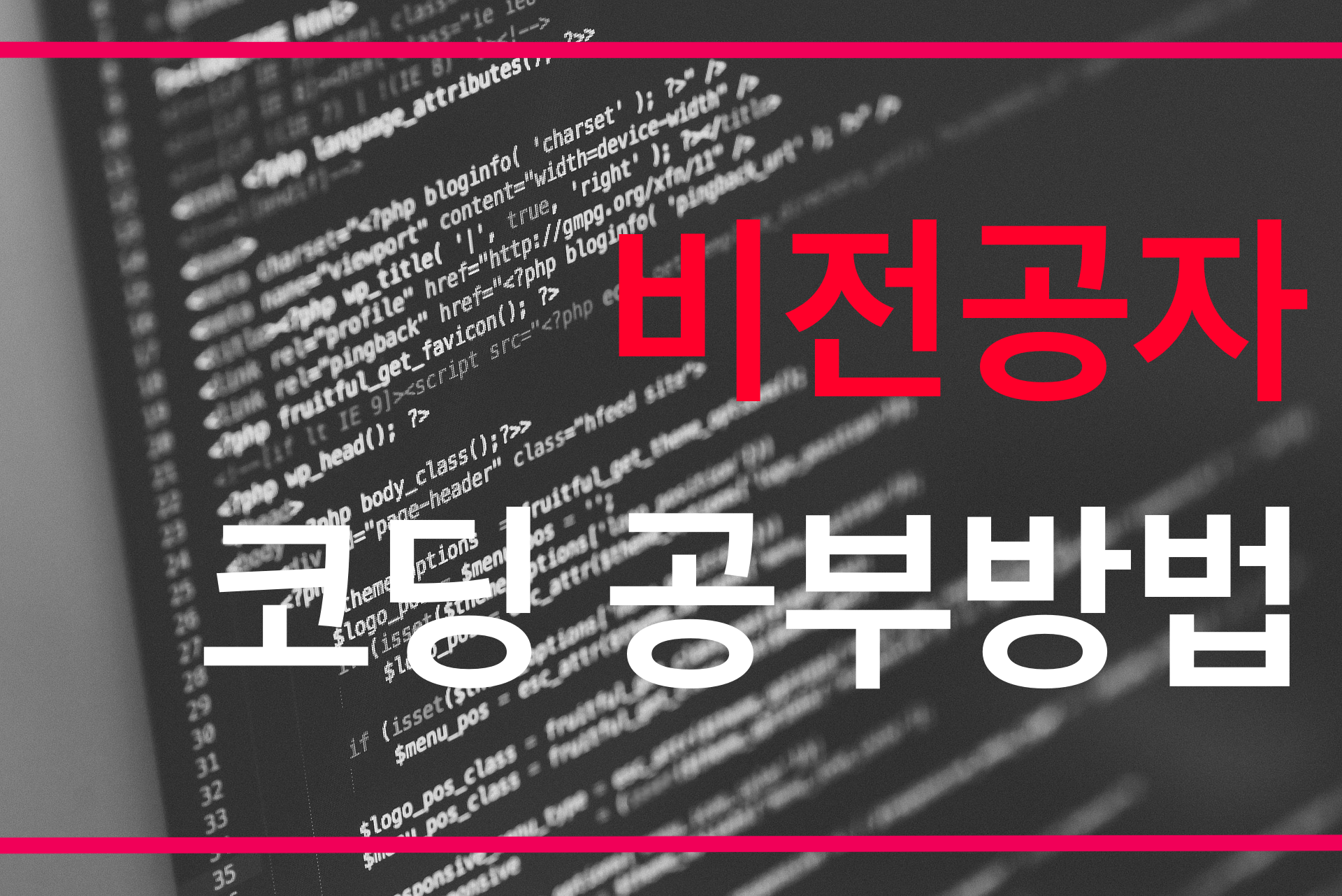 비전공자 코딩 공부방법
