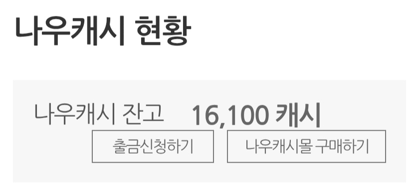 지금까지 모은 나우캐시