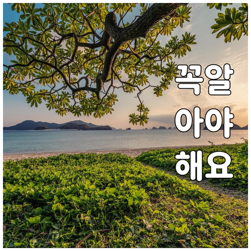 정보 소외 계층 2025 동대문구 무..