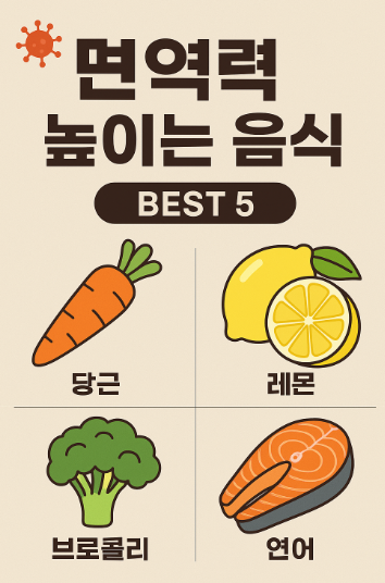 면역력 높이는 음식