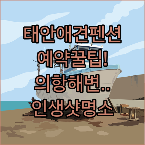 태안 청포대별빛펜션 애견 동반 객실 ..