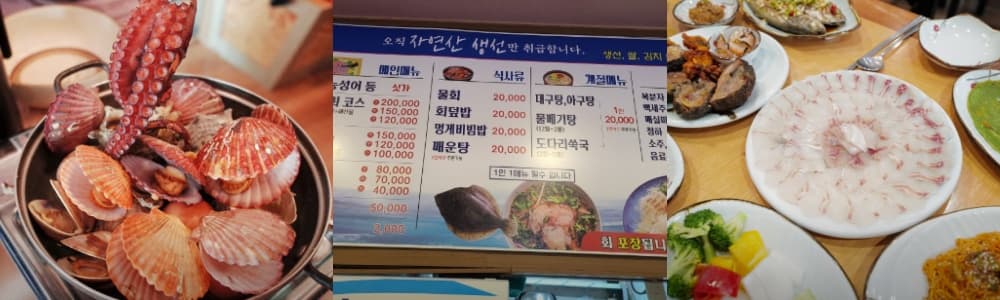 생새정보통 오늘방송(2월28일) 맛집 유경식당 와현해변점,거제도 외포멸치,내도,바람의제트보트