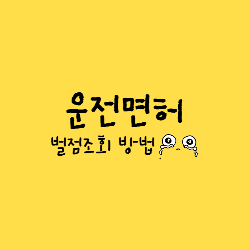 운전면허 벌점조회