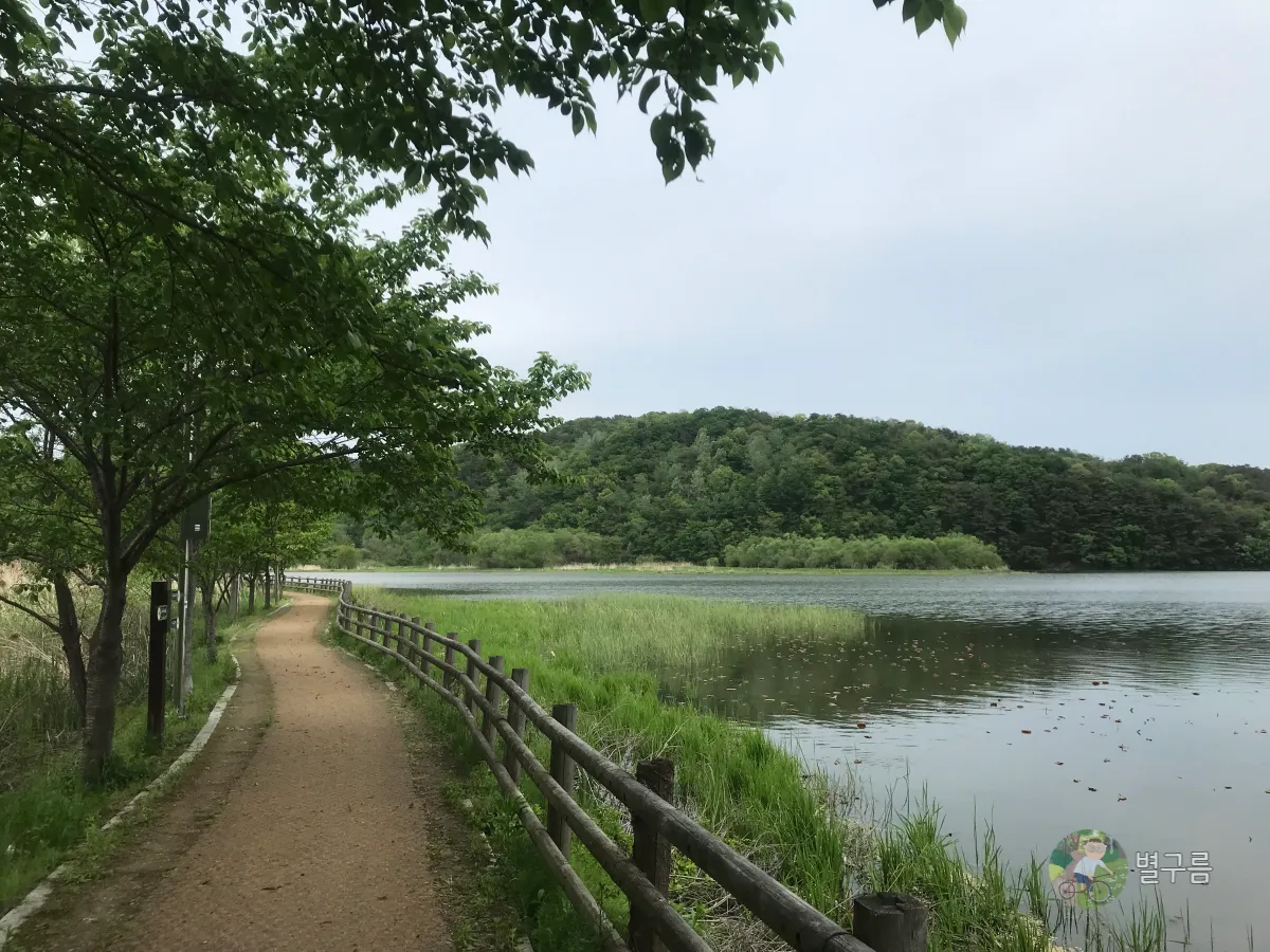 두물머리-물래길-산책길-3