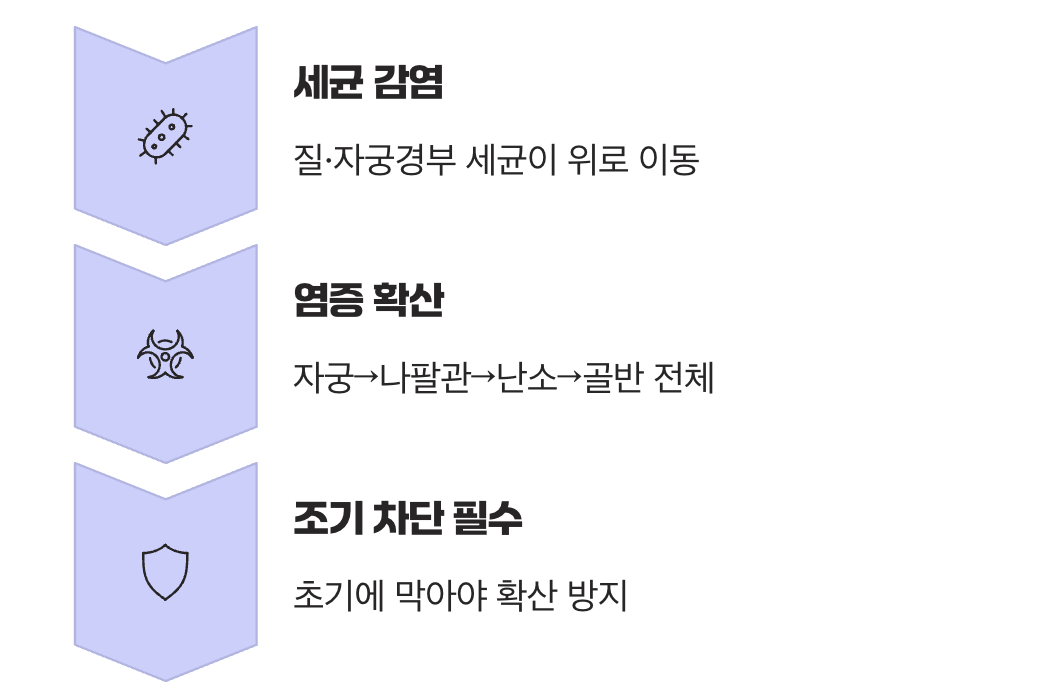 골반염은 왜 생기는 걸까요?