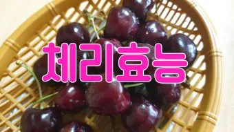 nv_체리 효능_6