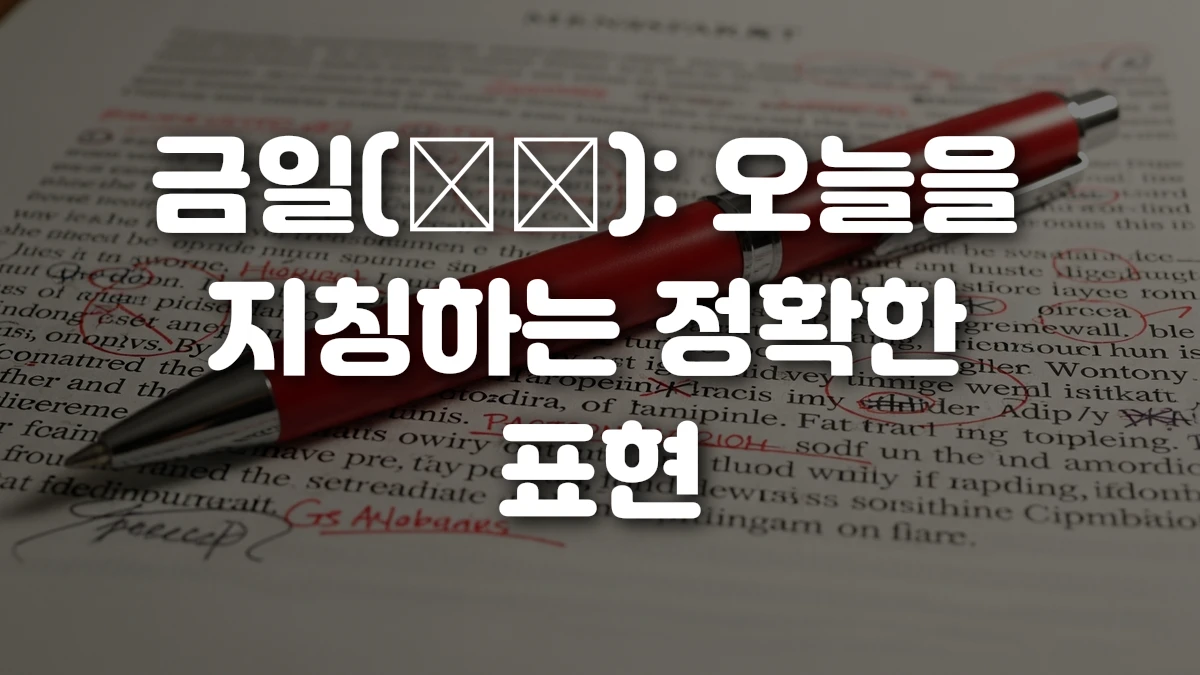 금일 今日 오늘을 지칭하는 정확한 표현