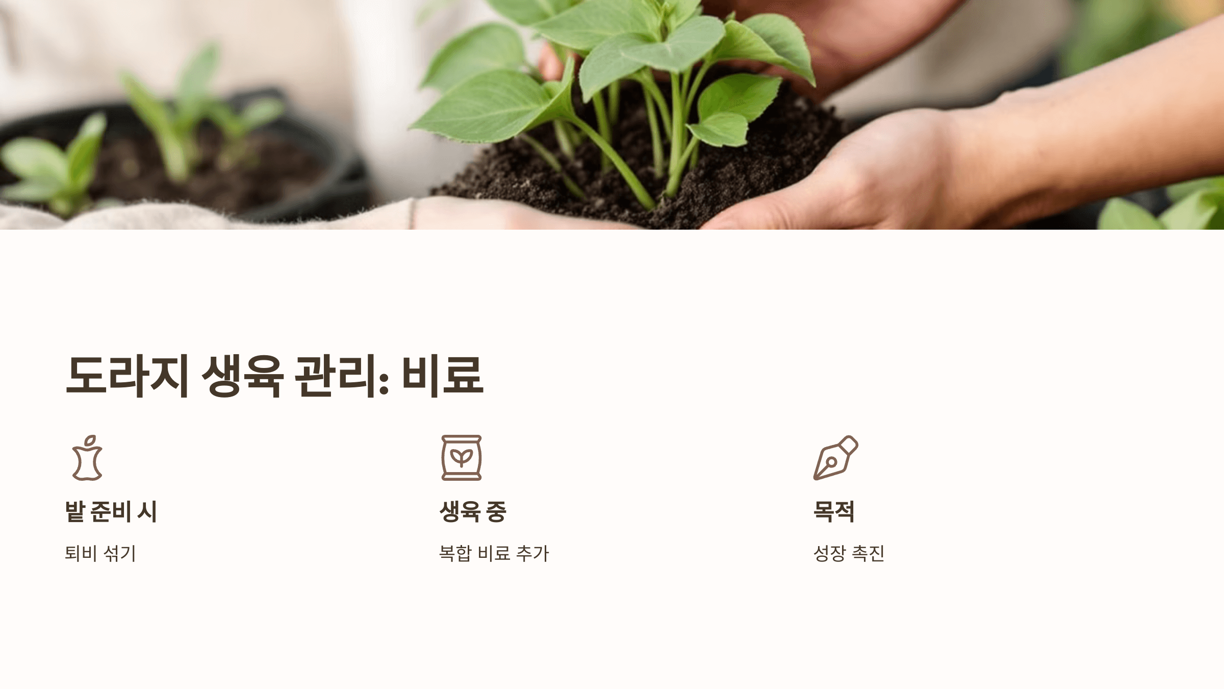 도라지 사진입니다.