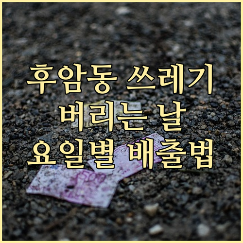 후암동 쓰레기 버리는 날 궁금증 해소..
