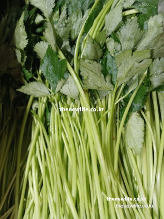 나물 효능의 영양 손실을 막고 맛을 살리는 올바른 조리법 실사진