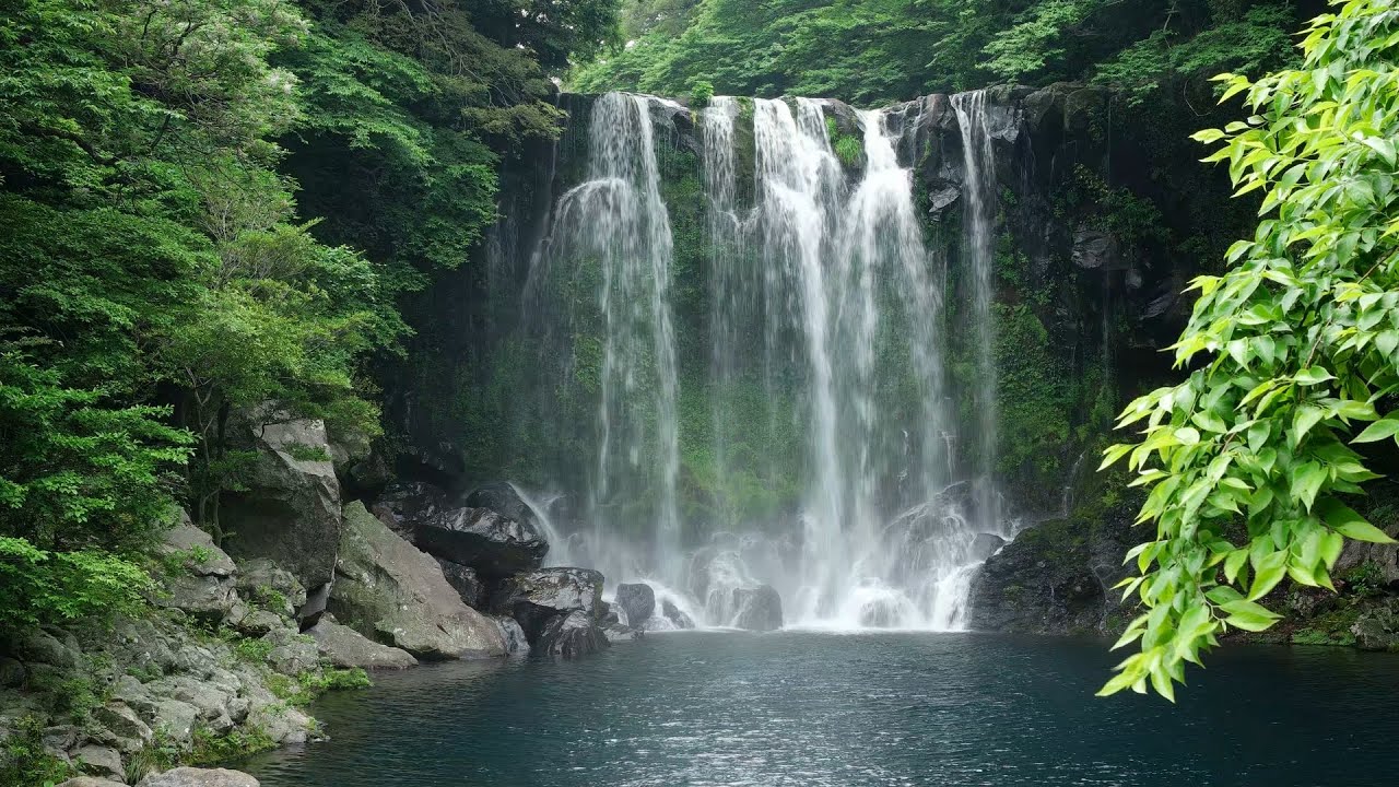 [제주도여행팁] 서귀포여행 추천 명소 - 천제연폭포