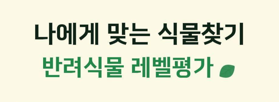 식물 성격 테스트