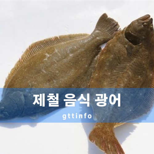 광어의 효능
